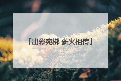 出彩宛梆 薪火相传