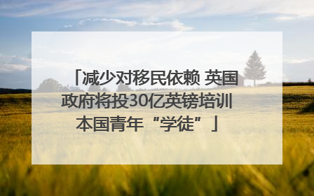 减少对移民依赖 英国政府将投30亿英镑培训本国青年“学徒”
