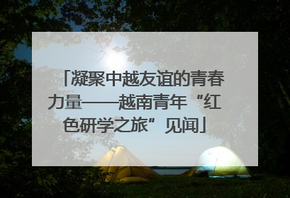 凝聚中越友谊的青春力量——越南青年“红色研学之旅”见闻