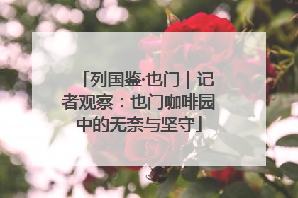列国鉴·也门｜记者观察：也门咖啡园中的无奈与坚守