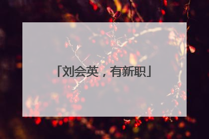 刘会英，有新职