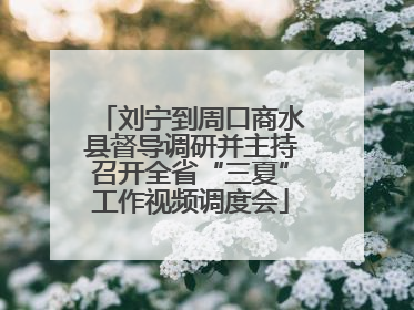 刘宁到周口商水县督导调研并主持召开全省“三夏”工作视频调度会