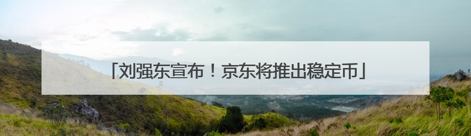 刘强东宣布！京东将推出稳定币