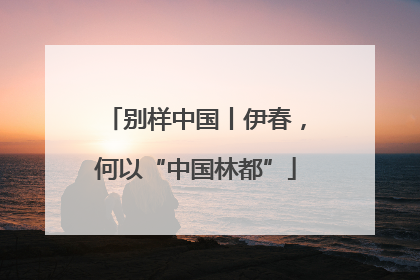 别样中国丨伊春，何以“中国林都”