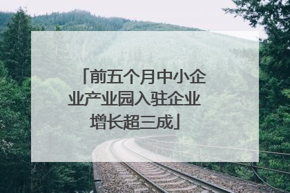 前五个月中小企业产业园入驻企业增长超三成