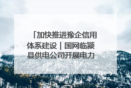 加快推进豫企信用体系建设｜国网临颍县供电公司开展电力行业信用企业现场咨询访谈工作