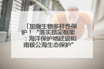 加强生物多样性保护！“落实昆蒙框架：海洋保护地建设和南极公海生态保护”主题论坛将举办