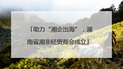 助力“湘企出海”，湖南省湘非经贸商会成立
