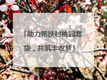 助力帮扶村桃园套袋，共筑丰收梦
