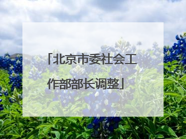 北京市委社会工作部部长调整