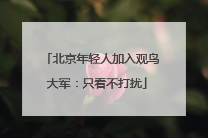 北京年轻人加入观鸟大军：只看不打扰