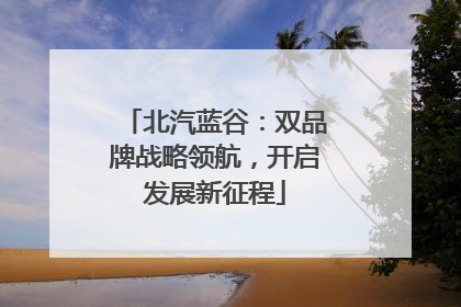 北汽蓝谷：双品牌战略领航，开启发展新征程