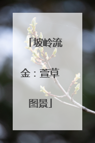 坡岭流金：萱草图景