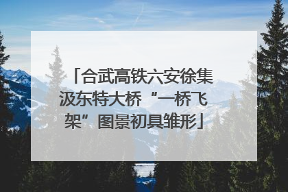 合武高铁六安徐集汲东特大桥“一桥飞架”图景初具雏形
