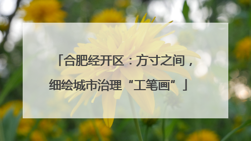 合肥经开区：方寸之间，细绘城市治理“工笔画”