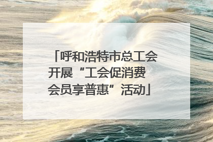 呼和浩特市总工会开展“工会促消费 会员享普惠”活动