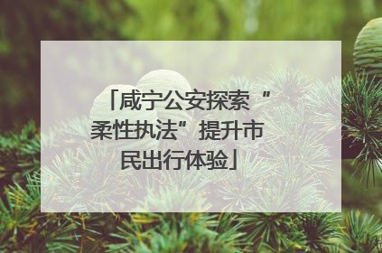 咸宁公安探索“柔性执法”提升市民出行体验