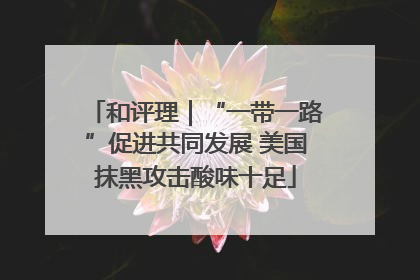 和评理｜“一带一路”促进共同发展 美国抹黑攻击酸味十足