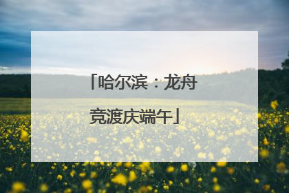 哈尔滨：龙舟竞渡庆端午