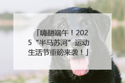 嗨翻端午！2025“半马苏河”运动生活节重磅来袭！