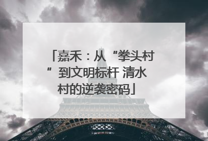 嘉禾：从“拳头村”到文明标杆 清水村的逆袭密码