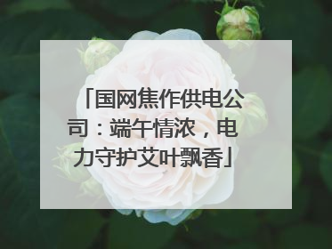 国网焦作供电公司：端午情浓，电力守护艾叶飘香