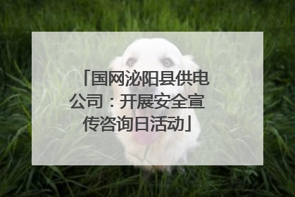 国网泌阳县供电公司：开展安全宣传咨询日活动