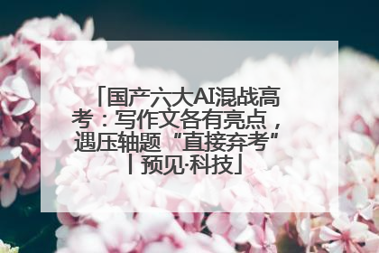 国产六大AI混战高考：写作文各有亮点，遇压轴题“直接弃考”丨预见·科技