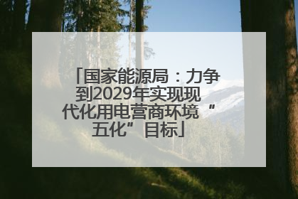 国家能源局：力争到2029年实现现代化用电营商环境“五化”目标