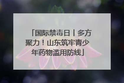 国际禁毒日丨多方聚力！山东筑牢青少年药物滥用防线