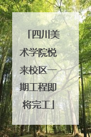 四川美术学院悦来校区一期工程即将完工