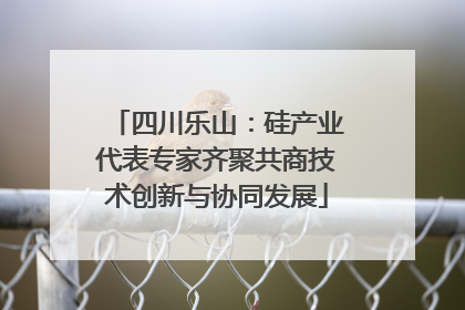 四川乐山：硅产业代表专家齐聚共商技术创新与协同发展