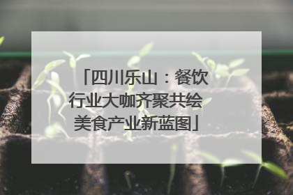 四川乐山：餐饮行业大咖齐聚共绘美食产业新蓝图