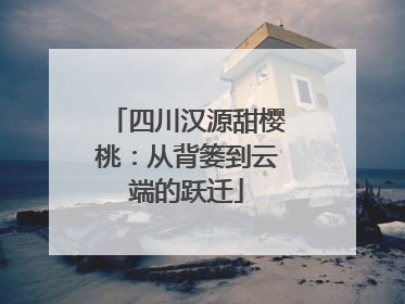 四川汉源甜樱桃：从背篓到云端的跃迁
