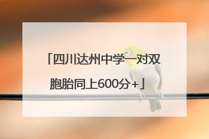 四川达州中学一对双胞胎同上600分+