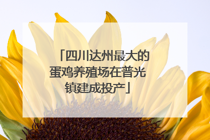 四川达州最大的蛋鸡养殖场在普光镇建成投产