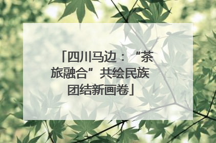 四川马边：“茶旅融合”共绘民族团结新画卷