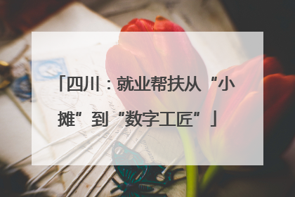 四川：就业帮扶从“小摊”到“数字工匠”