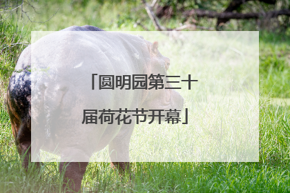 圆明园第三十届荷花节开幕