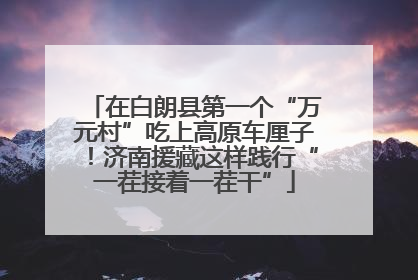 在白朗县第一个“万元村”吃上高原车厘子！济南援藏这样践行“一茬接着一茬干”