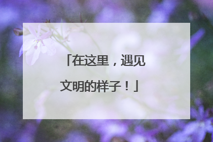 在这里，遇见文明的样子！