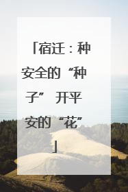 宿迁：种安全的“种子” 开平安的“花”