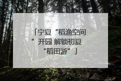 宁夏“稻渔空间”开园 解锁初夏“稻田游”