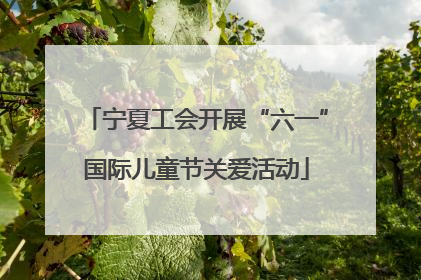 宁夏工会开展“六一”国际儿童节关爱活动