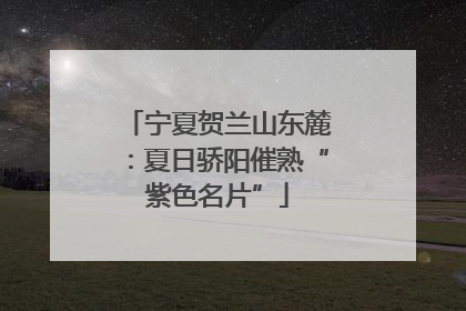 宁夏贺兰山东麓：夏日骄阳催熟“紫色名片”
