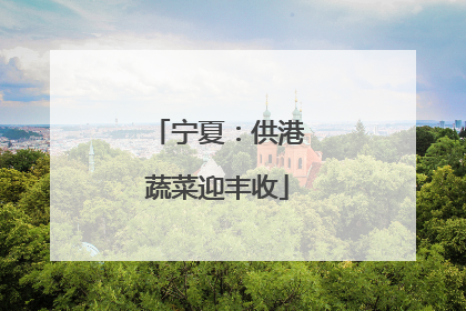 宁夏：供港蔬菜迎丰收