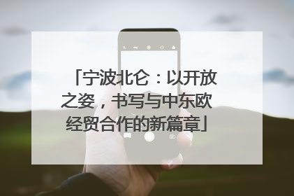 宁波北仑：以开放之姿，书写与中东欧经贸合作的新篇章