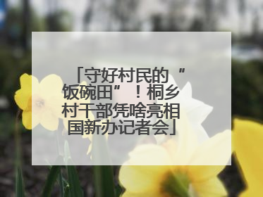 守好村民的“饭碗田”！桐乡村干部凭啥亮相国新办记者会