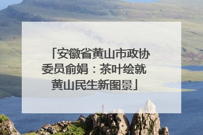 安徽省黄山市政协委员俞娟：茶叶绘就黄山民生新图景