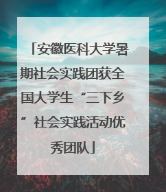 安徽医科大学暑期社会实践团获全国大学生“三下乡”社会实践活动优秀团队